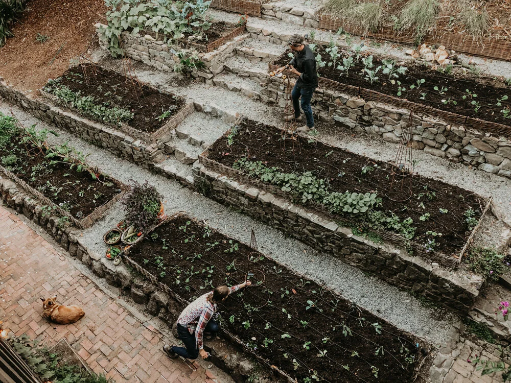 Vegetable Garden Inspiration - Our Portfolio - The Backyard Farm